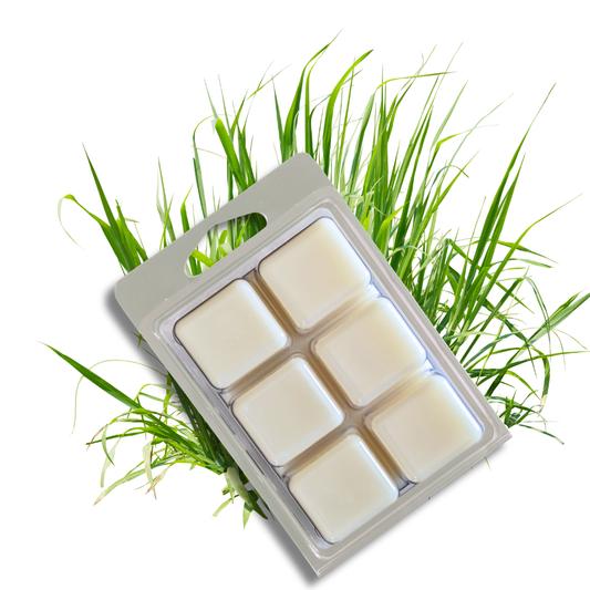 Walking The Dog - Soy Wax Melts